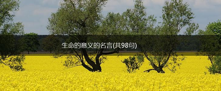 生命的意义的名言(共98句),第1张