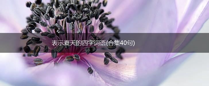 表示夏天的四字词语(合集40句),第1张 表示夏天的四字词语(合集40句),第1张