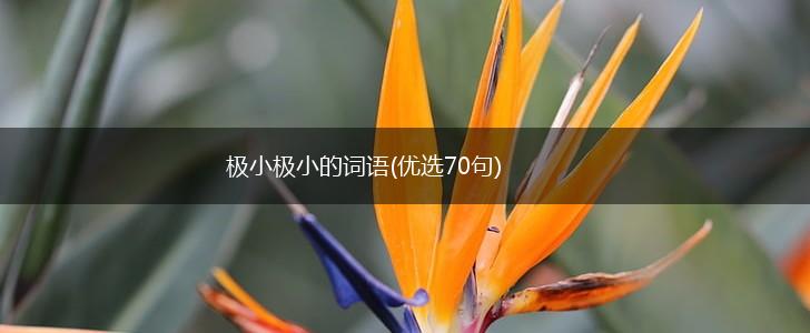 极小极小的词语(优选70句),第1张