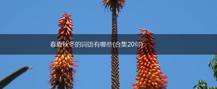 春夏秋冬的词语有哪些(合集20句),第1张