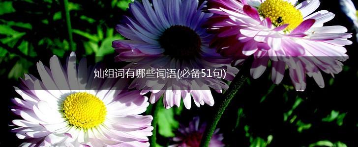 灿组词有哪些词语(必备51句),第1张