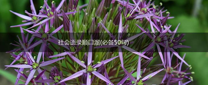社会语录顺口溜(必备50句),第1张