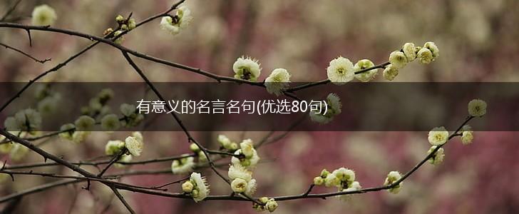 有意义的名言名句(优选80句),第1张 有意义的名言名句(优选80句),第1张