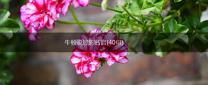 牛顿说过的名言(40句),第1张 牛顿说过的名言(40句),第1张