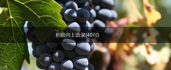 积极向上语录(40句),第1张
