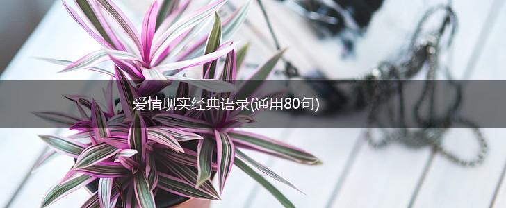 爱情现实经典语录(通用80句),第1张