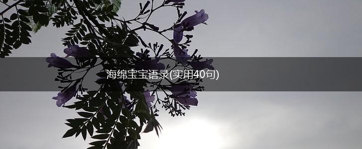 海绵宝宝语录(实用40句),第1张