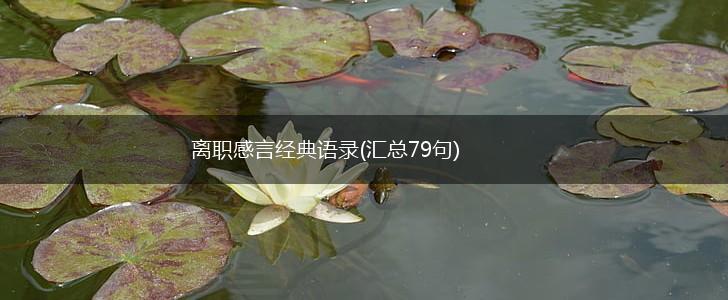 离职感言经典语录(汇总79句),第1张