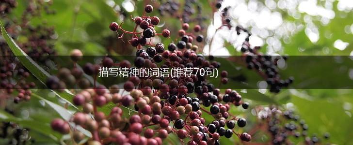 描写精神的词语(推荐70句),第1张