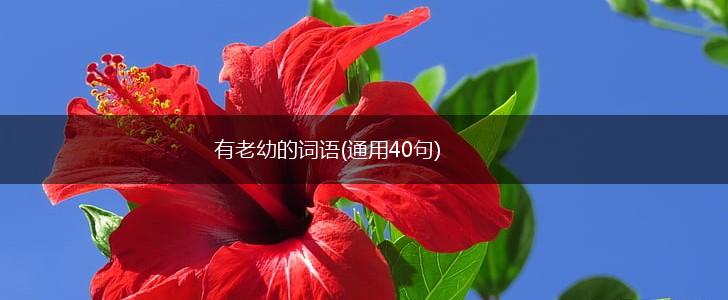 有老幼的词语(通用40句),第1张