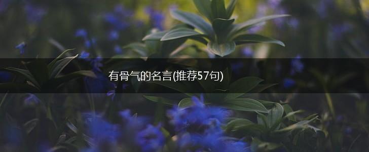 有骨气的名言(推荐57句),第1张