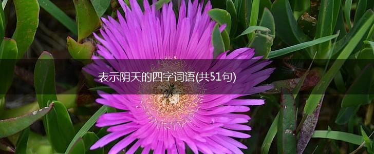 表示阴天的四字词语(共51句),第1张