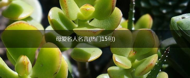 母爱名人名言(热门15句),第1张