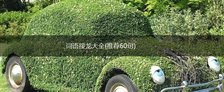 词语接龙大全(推荐60句),第1张