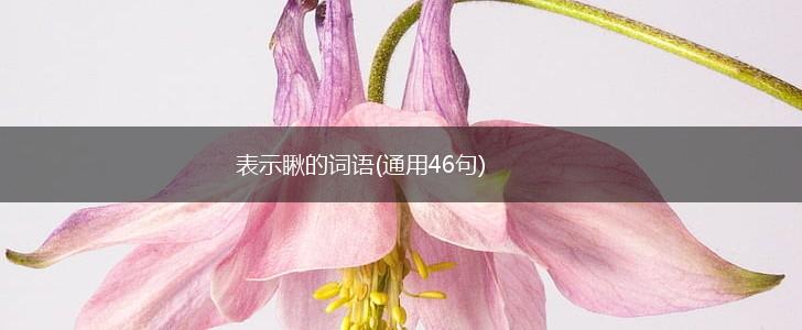 表示瞅的词语(通用46句),第1张 表示瞅的词语(通用46句),第1张