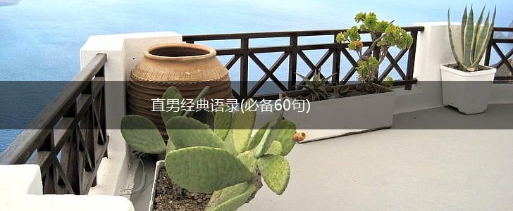 直男经典语录(必备60句),第1张