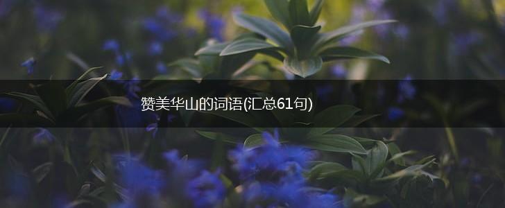 赞美华山的词语(汇总61句),第1张