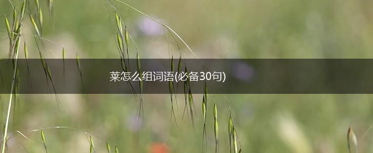莱怎么组词语(必备30句),第1张 莱怎么组词语(必备30句),第1张