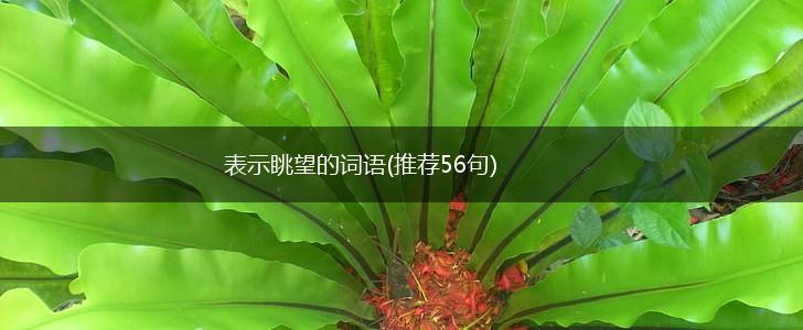 表示眺望的词语(推荐56句),第1张