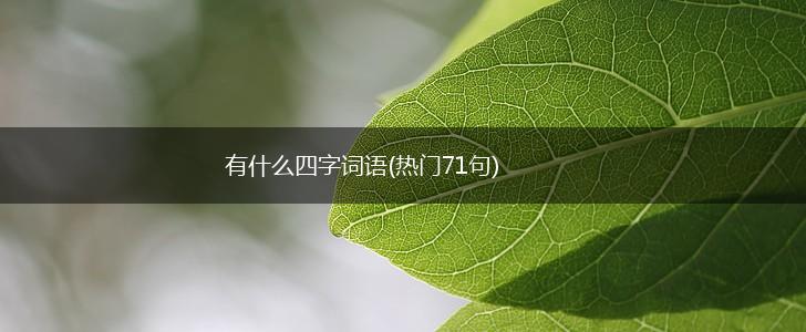 有什么四字词语(热门71句),第1张 有什么四字词语(热门71句),第1张