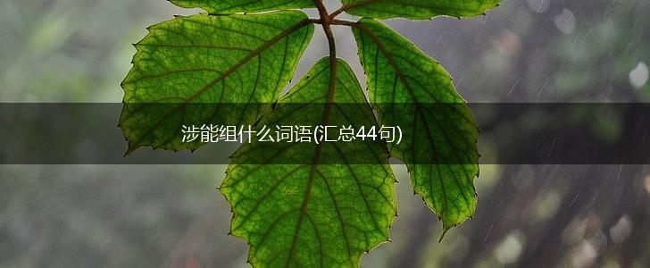 涉能组什么词语(汇总44句),第1张