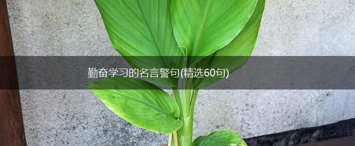 勤奋学习的名言警句(精选60句),第1张