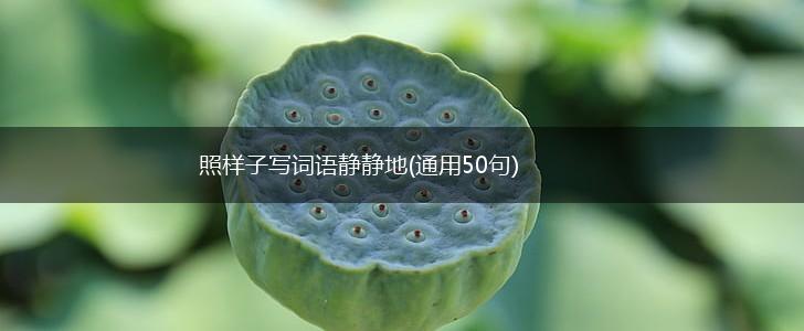 照样子写词语静静地(通用50句),第1张