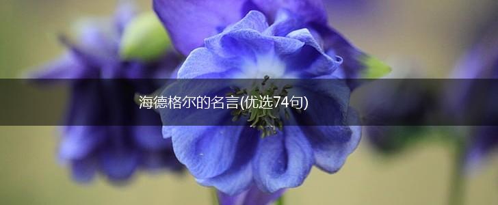 海德格尔的名言(优选74句),第1张