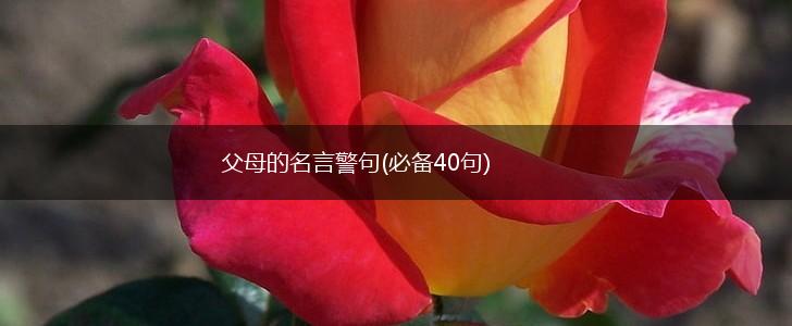 父母的名言警句(必备40句),第1张 父母的名言警句(必备40句),第1张