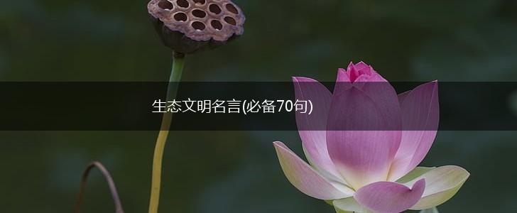 生态文明名言(必备70句),第1张