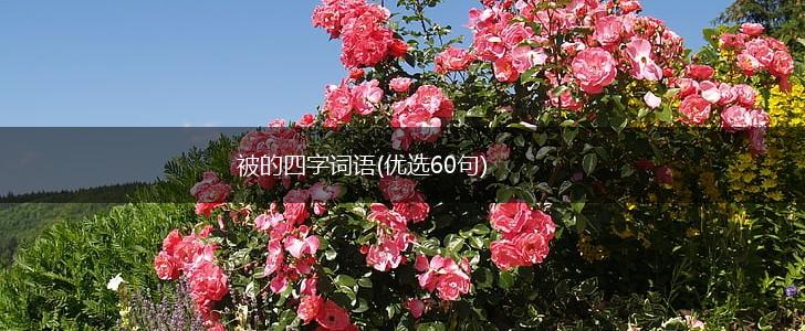 被的四字词语(优选60句),第1张