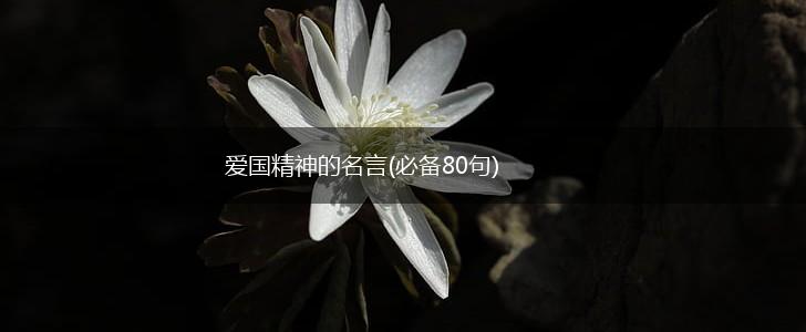 爱国精神的名言(必备80句),第1张