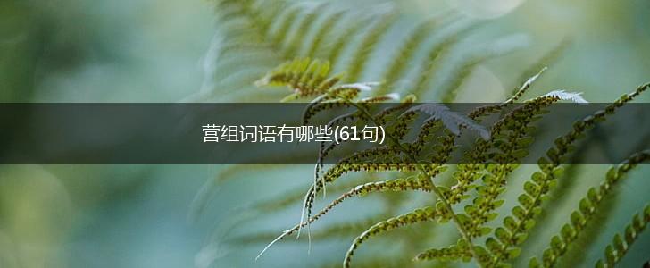 营组词语有哪些(61句),第1张