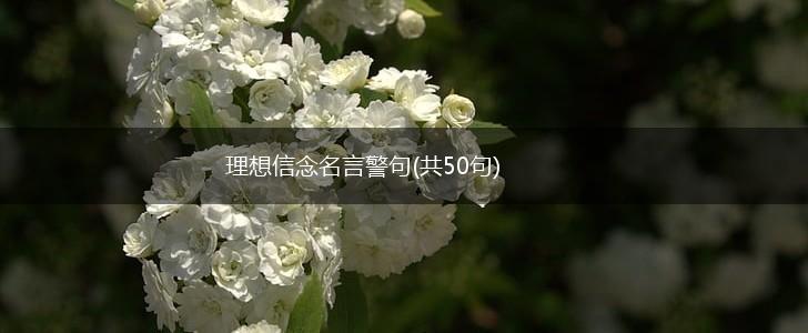 理想信念名言警句(共50句),第1张