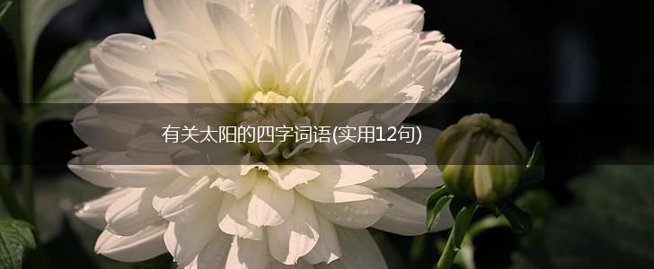 有关太阳的四字词语(实用12句),第1张