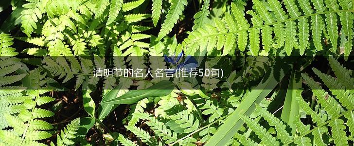 清明节的名人名言(推荐50句),第1张 清明节的名人名言(推荐50句),第1张