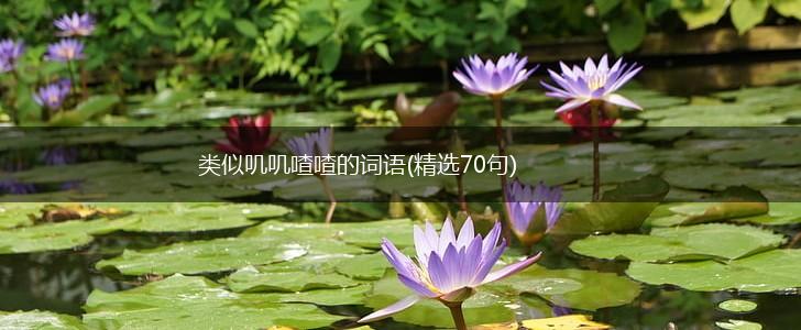 类似叽叽喳喳的词语(精选70句),第1张