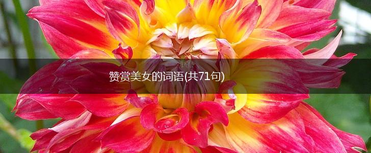 赞赏美女的词语(共71句),第1张