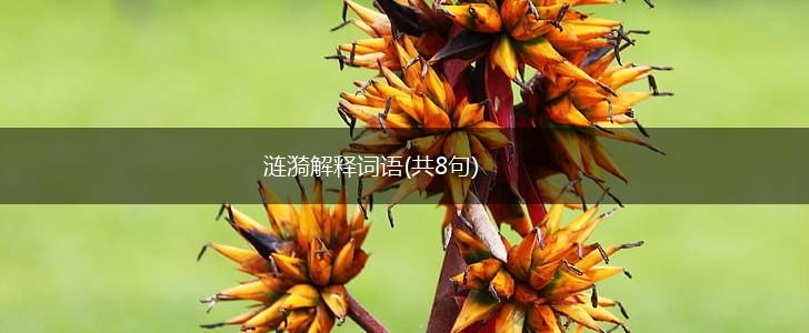 涟漪解释词语(共8句),第1张