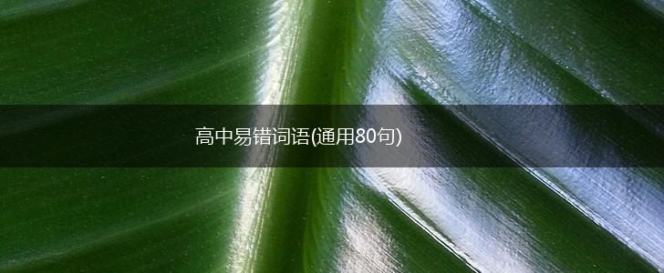 高中易错词语(通用80句),第1张