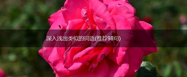 深入浅出类似的词语(推荐98句),第1张
