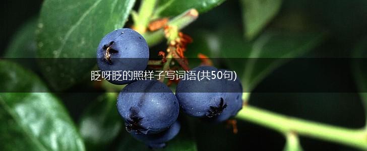 眨呀眨的照样子写词语(共50句),第1张 眨呀眨的照样子写词语(共50句),第1张