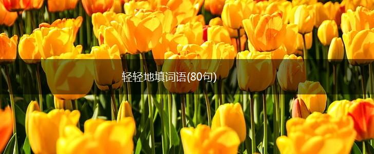 轻轻地填词语(80句),第1张