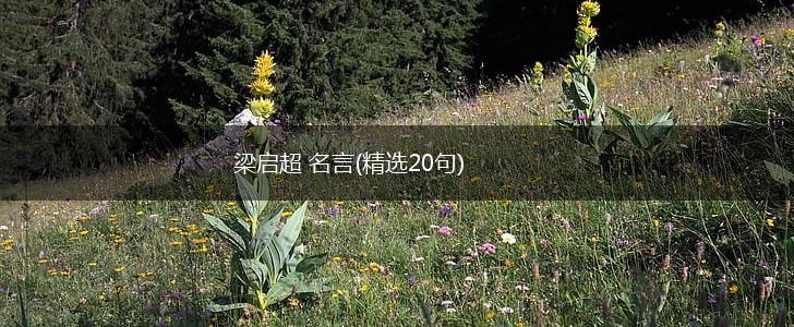 梁启超 名言(精选20句),第1张 梁启超 名言(精选20句),第1张