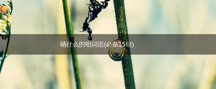 晴什么的组词语(必备15句),第1张