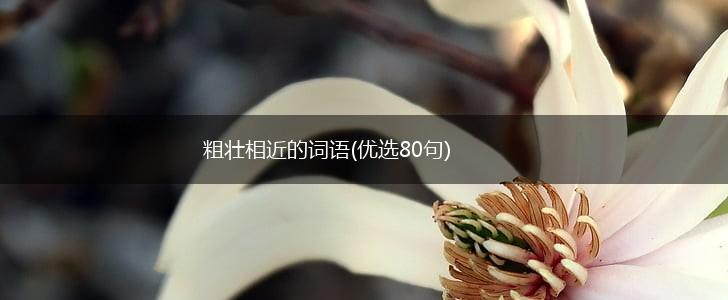 粗壮相近的词语(优选80句),第1张
