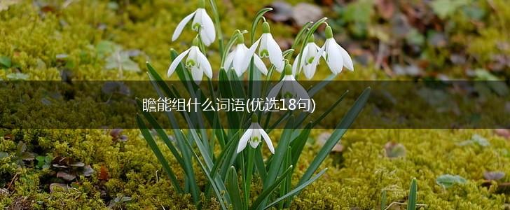 瞻能组什么词语(优选18句),第1张