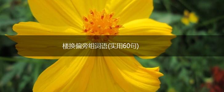 楼换偏旁组词语(实用60句),第1张