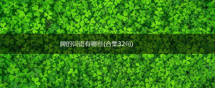 脾的词语有哪些(合集32句),第1张