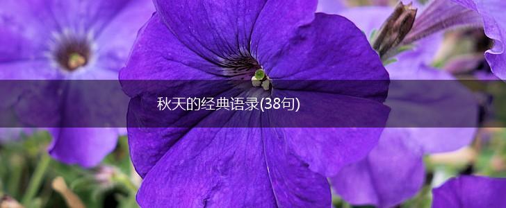 秋天的经典语录(38句),第1张